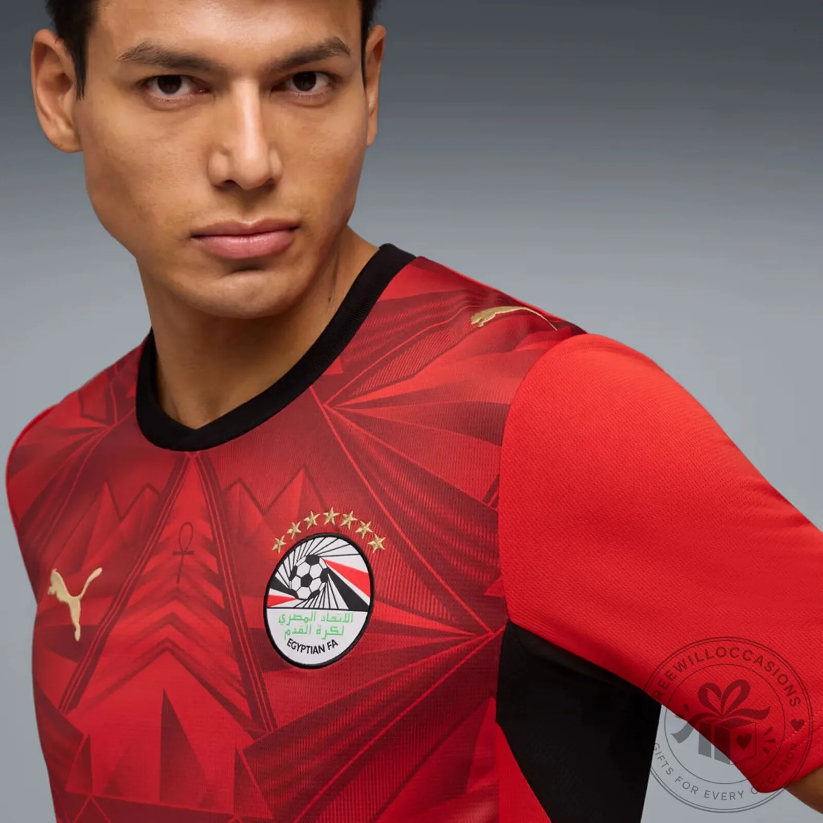 Egypt National Football Team Home Kit Replica Jersey 11 Egypt National Football Team Home Kit Replica Jersey