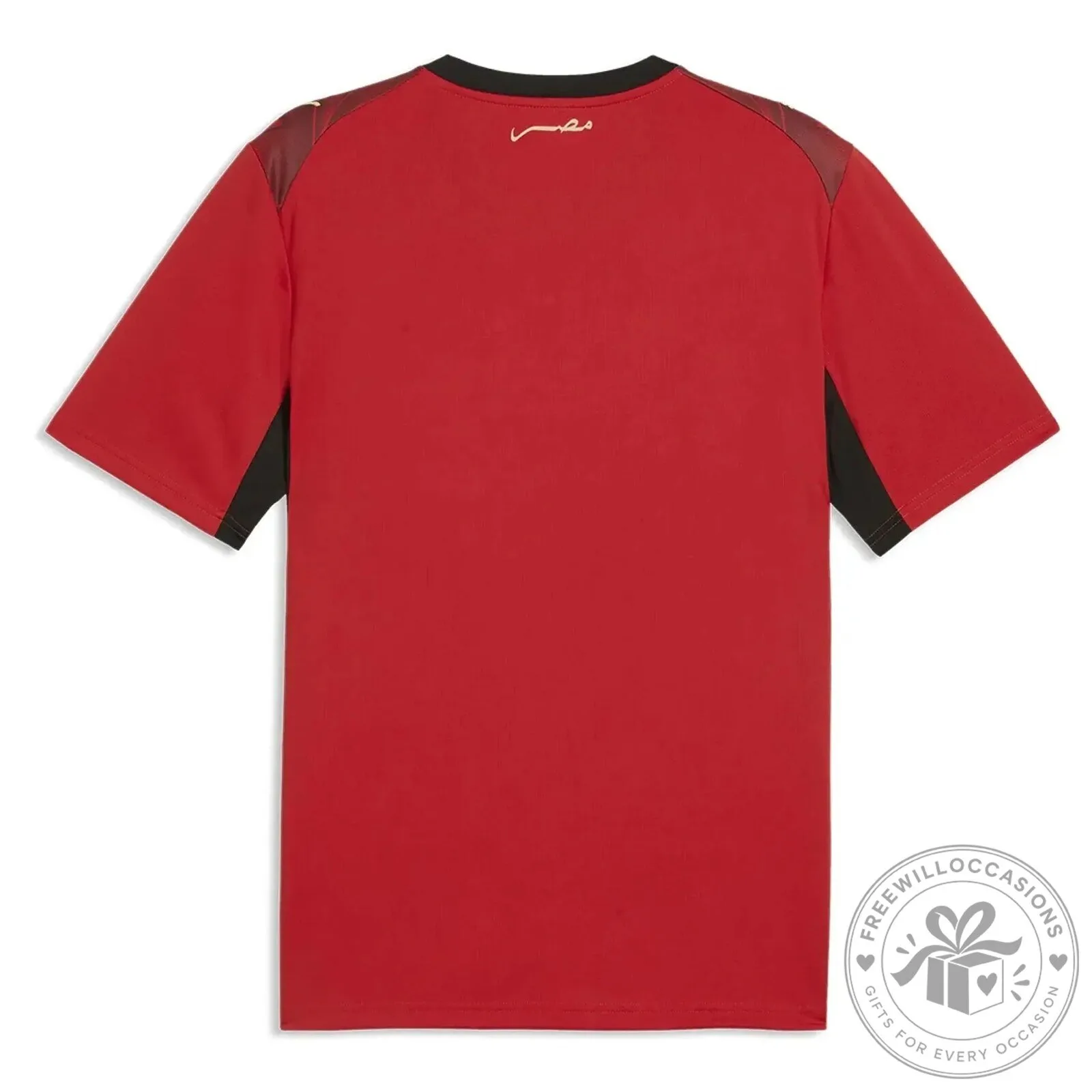Egypt National Football Team Home Kit Replica Jersey 13 Egypt National Football Team Home Kit Replica Jersey